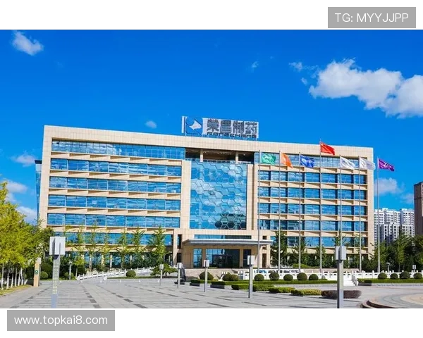 凯发集团网站手机客户端使用指南帮助用户轻松实现随时随地娱乐体验